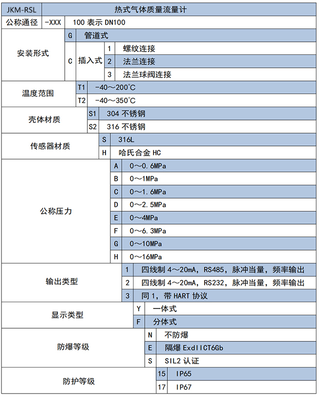 分體式熱式氣體質(zhì)量流量計選項表